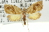  ( - 11ANIC-10208)  @11 [ ] CreativeCommons - Attribution (2011) ANIC/CBG Photography Group Centre for Biodiversity Genomics