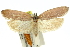  ( - 11ANIC-10319)  @11 [ ] CreativeCommons - Attribution (2011) ANIC/CBG Photography Group Centre for Biodiversity Genomics