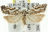  ( - 11ANIC-10334)  @14 [ ] CreativeCommons - Attribution (2011) ANIC/CBG Photography Group Centre for Biodiversity Genomics
