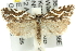  (Tortrix technitis - 11ANIC-10335)  @14 [ ] CreativeCommons - Attribution (2011) ANIC/CBG Photography Group Centre for Biodiversity Genomics