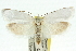  ( - 11ANIC-10408)  @13 [ ] CreativeCommons - Attribution (2011) ANIC/CBG Photography Group Centre for Biodiversity Genomics