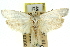  ( - 11ANIC-10424)  @11 [ ] CreativeCommons - Attribution (2011) ANIC/CBG Photography Group Centre for Biodiversity Genomics