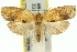  ( - 11ANIC-10540)  @14 [ ] CreativeCommons - Attribution (2011) ANIC/CBG Photography Group Centre for Biodiversity Genomics