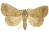  ( - 11ANIC-10614)  @11 [ ] CreativeCommons - Attribution (2011) ANIC/CBG Photography Group Centre for Biodiversity Genomics