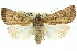  ( - 11ANIC-10624)  @14 [ ] CreativeCommons - Attribution (2011) ANIC/CBG Photography Group Centre for Biodiversity Genomics