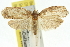  ( - 11ANIC-10646)  @13 [ ] CreativeCommons - Attribution (2011) ANIC/CBG Photography Group Centre for Biodiversity Genomics