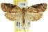 ( - 11ANIC-10670)  @11 [ ] CreativeCommons - Attribution (2011) ANIC/CBG Photography Group Centre for Biodiversity Genomics