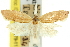  ( - 11ANIC-10679)  @11 [ ] CreativeCommons - Attribution (2011) ANIC/CBG Photography Group Centre for Biodiversity Genomics