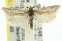  ( - 11ANIC-10701)  @13 [ ] CreativeCommons - Attribution (2011) ANIC/CBG Photography Group Centre for Biodiversity Genomics