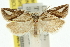  ( - 11ANIC-10708)  @14 [ ] CreativeCommons - Attribution (2011) ANIC/CBG Photography Group Centre for Biodiversity Genomics
