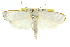  ( - 11ANIC-10744)  @13 [ ] CreativeCommons - Attribution (2011) ANIC/CBG Photography Group Centre for Biodiversity Genomics