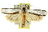  ( - 11ANIC-10806)  @13 [ ] CreativeCommons - Attribution (2011) ANIC/CBG Photography Group Centre for Biodiversity Genomics