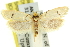  ( - 11ANIC-10841)  @13 [ ] CreativeCommons - Attribution (2011) ANIC/CBG Photography Group Centre for Biodiversity Genomics