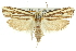  ( - 11ANIC-10884)  @11 [ ] CreativeCommons - Attribution (2011) ANIC/CBG Photography Group Centre for Biodiversity Genomics