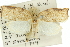  ( - 11ANIC-11015)  @11 [ ] CreativeCommons - Attribution (2011) ANIC/CBG Photography Group Centre for Biodiversity Genomics