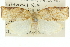  ( - 11ANIC-11017)  @11 [ ] CreativeCommons - Attribution (2011) ANIC/CBG Photography Group Centre for Biodiversity Genomics