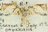  ( - 11ANIC-11018)  @11 [ ] CreativeCommons - Attribution (2011) ANIC/CBG Photography Group Centre for Biodiversity Genomics