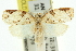 ( - 11ANIC-11019)  @13 [ ] CreativeCommons - Attribution (2011) ANIC/CBG Photography Group Centre for Biodiversity Genomics
