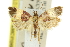  ( - 11ANIC-11049)  @11 [ ] CreativeCommons - Attribution (2011) ANIC/CBG Photography Group Centre for Biodiversity Genomics