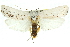  ( - 11ANIC-11088)  @15 [ ] CreativeCommons - Attribution (2011) ANIC/CBG Photography Group Centre for Biodiversity Genomics