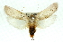  ( - 11ANIC-11089)  @13 [ ] CreativeCommons - Attribution (2011) ANIC/CBG Photography Group Centre for Biodiversity Genomics