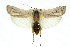  ( - 11ANIC-11100)  @15 [ ] CreativeCommons - Attribution (2011) ANIC/CBG Photography Group Centre for Biodiversity Genomics