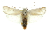  ( - 11ANIC-11101)  @11 [ ] CreativeCommons - Attribution (2011) ANIC/CBG Photography Group Centre for Biodiversity Genomics