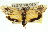  ( - 11ANIC-11110)  @14 [ ] CreativeCommons - Attribution (2011) ANIC/CBG Photography Group Centre for Biodiversity Genomics