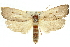  ( - 11ANIC-11111)  @11 [ ] CreativeCommons - Attribution (2011) ANIC/CBG Photography Group Centre for Biodiversity Genomics