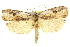  ( - 11ANIC-11140)  @15 [ ] CreativeCommons - Attribution (2011) ANIC/CBG Photography Group Centre for Biodiversity Genomics