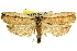  ( - 11ANIC-11142)  @13 [ ] CreativeCommons - Attribution (2011) ANIC/CBG Photography Group Centre for Biodiversity Genomics