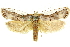  ( - 11ANIC-11192)  @11 [ ] CreativeCommons - Attribution (2011) ANIC/CBG Photography Group Centre for Biodiversity Genomics