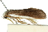  ( - 11ANIC-11327)  @12 [ ] CreativeCommons - Attribution (2011) ANIC/CBG Photography Group Centre for Biodiversity Genomics