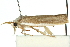  ( - 11ANIC-11328)  @13 [ ] CreativeCommons - Attribution (2011) ANIC/CBG Photography Group Centre for Biodiversity Genomics