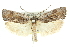  ( - 11ANIC-11336)  @13 [ ] CreativeCommons - Attribution (2011) ANIC/CBG Photography Group Centre for Biodiversity Genomics