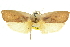  ( - 11ANIC-11389)  @11 [ ] CreativeCommons - Attribution (2011) ANIC/CBG Photography Group Centre for Biodiversity Genomics