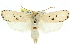  ( - 11ANIC-11441)  @11 [ ] CreativeCommons - Attribution (2011) ANIC/CBG Photography Group Centre for Biodiversity Genomics