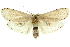  ( - 11ANIC-11460)  @15 [ ] CreativeCommons - Attribution (2011) ANIC/CBG Photography Group Centre for Biodiversity Genomics