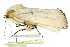  ( - 11ANIC-11483)  @11 [ ] CreativeCommons - Attribution (2011) ANIC/CBG Photography Group Centre for Biodiversity Genomics