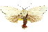  ( - 11ANIC-11494)  @11 [ ] CreativeCommons - Attribution (2011) ANIC/CBG Photography Group Centre for Biodiversity Genomics
