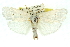  ( - 11ANIC-11578)  @13 [ ] CreativeCommons - Attribution (2011) ANIC/CBG Photography Group Centre for Biodiversity Genomics