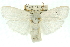  ( - 11ANIC-11580)  @14 [ ] CreativeCommons - Attribution (2011) ANIC/CBG Photography Group Centre for Biodiversity Genomics