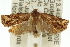  ( - 11ANIC-11603)  @14 [ ] CreativeCommons - Attribution (2011) ANIC/CBG Photography Group Centre for Biodiversity Genomics