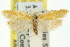  ( - 11ANIC-11618)  @13 [ ] CreativeCommons - Attribution (2011) ANIC/CBG Photography Group Centre for Biodiversity Genomics