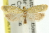  ( - 11ANIC-11619)  @11 [ ] CreativeCommons - Attribution (2011) ANIC/CBG Photography Group Centre for Biodiversity Genomics