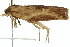  ( - 11ANIC-11626)  @12 [ ] CreativeCommons - Attribution (2011) ANIC/CBG Photography Group Centre for Biodiversity Genomics