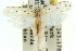  ( - 11ANIC-11768)  @11 [ ] CreativeCommons - Attribution (2011) ANIC/CBG Photography Group Centre for Biodiversity Genomics