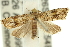  ( - 11ANIC-11790)  @14 [ ] CreativeCommons - Attribution (2011) ANIC/CBG Photography Group Centre for Biodiversity Genomics