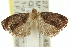  ( - 11ANIC-11828)  @13 [ ] CreativeCommons - Attribution (2011) ANIC/CBG Photography Group Centre for Biodiversity Genomics