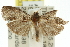  ( - 11ANIC-11830)  @12 [ ] CreativeCommons - Attribution (2011) ANIC/CBG Photography Group Centre for Biodiversity Genomics